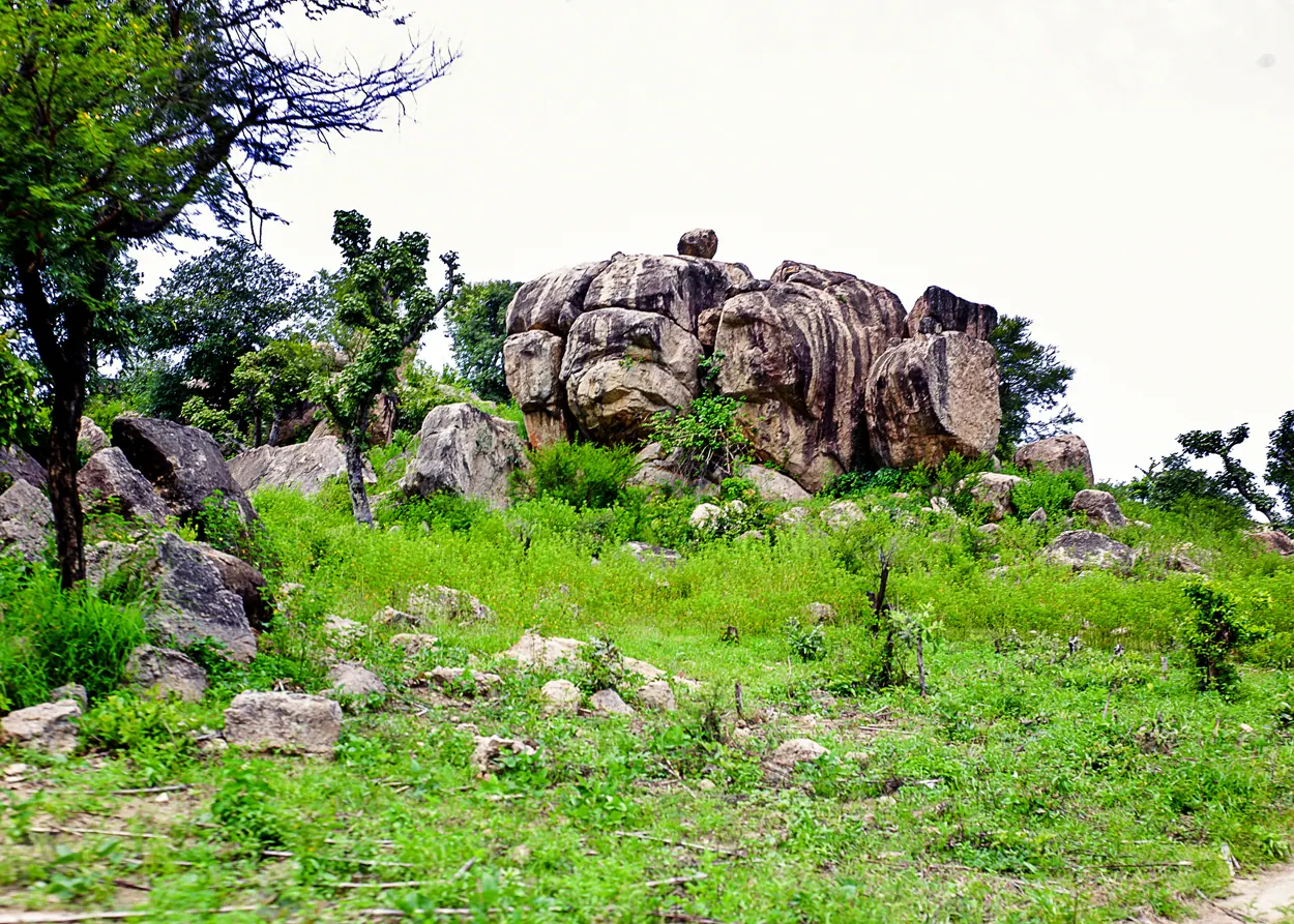 Exposed rocky terrain with green vegetation