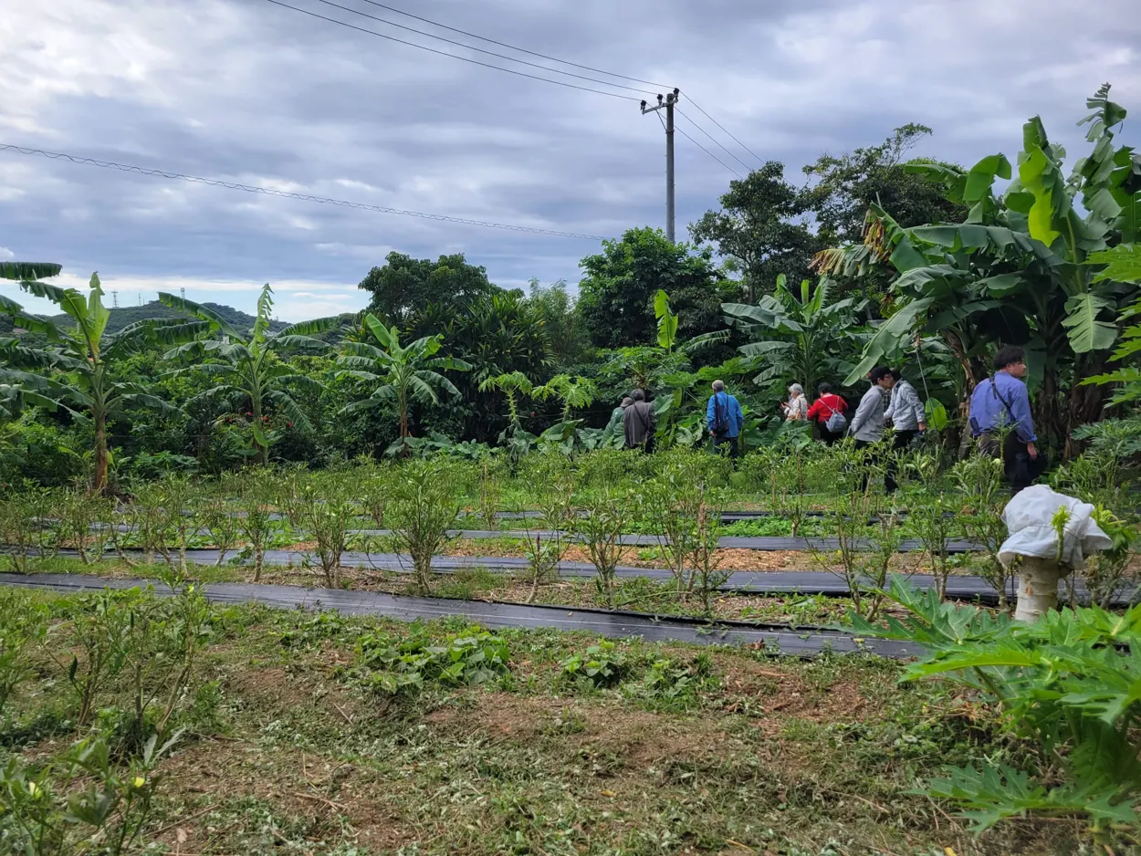 People undertaking planting work in an agricultural field